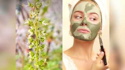 Face Pack: दाग-धब्‍बे और पिंपल्‍स होंगे दूर, इस तरह बनाएं तुलसी का फेस पैक