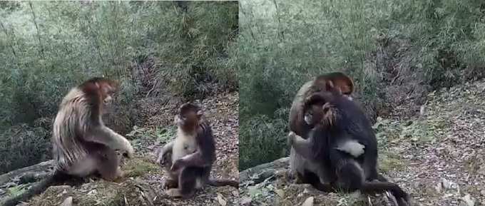 ಪ್ರೀತಿಯ ಅಪ್ಪುಗೆ...