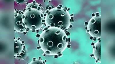 भारत में कोरोना: शोध में दावा, रूप बदलकर ज्यादा खतरनाक बन रहा है कोविड-19 वायरस