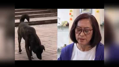 चीन: 3 साल पहले छोड़कर जा चुके मालिक के घर के बाहर इंतजार कर रहा वफादार कुत्ता