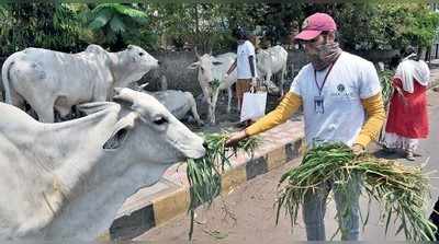 ನಮ್ಮ ಭವಿಷ್ಯ ನಿರ್ಧರಿಸಲು ಬಂದಿದೆಯೆ ಈ ಕೊರೊನಾ ಸೋಂಕು?