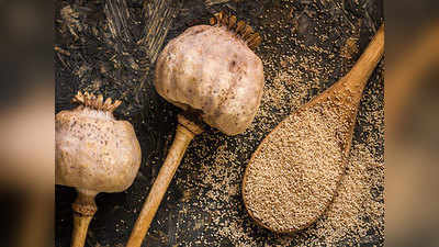 Poppy Seeds: इन 7 बीमारियों से लाभकारी है खसखस