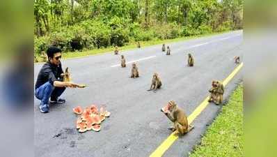 लॉकडाउन: किरण रिजिजू ने बंदरों की तस्वीर ट्वीट कर कहा- बेजुबानों से सीखो यह बात