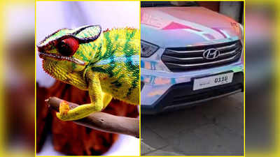 Chameleon: ಊಸರವಳ್ಳಿಯಂತೇ ಬಣ್ಣ ಬದಲಾಯಿಸೋ ಕ್ರೇಟಾ ನೋಡಿದ್ದೀರಾ..?