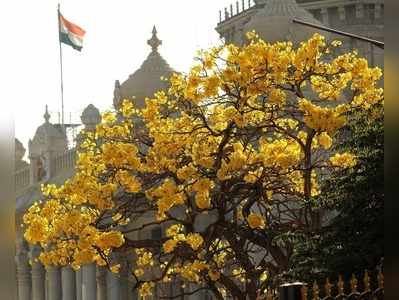 ಬೆಂಗಳೂರಲ್ಲಿ ತಗ್ಗಿದ ತಾಪಮಾನ: ಮೇ 3ರವರೆಗೂ ಮಳೆ ಬರುವ ಸಾಧ್ಯತೆ!