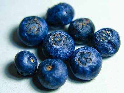 Blueberries For Health : इन बीमारियों से निजात दिला सकता है ब्लूबेरी