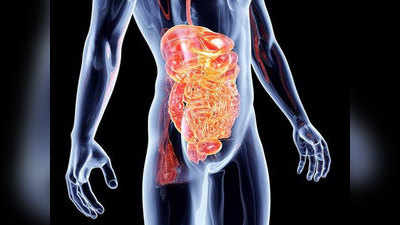 Know About Digestive System: इन दो तरह से काम करता है हमारा पाचन तंत्र