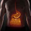 human digestive system diagram Class 10 // मानव पाचन तंत्र का चित्र कक्षा  10 - YouTube