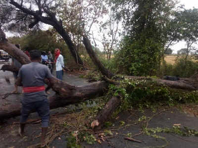 यूपीः आंधी-पानी से गोरखपुर में तबाही, पेड़ गिरने से नीचे दबकर शख्स की मौत