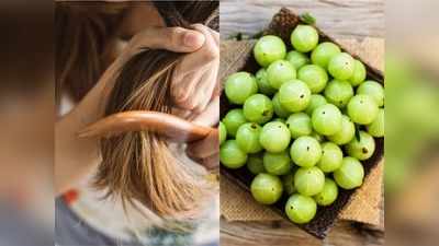 Hair Care: रूखे-सूखे और झाड़ू जैसे बाल बन जाएंगे मुलायम, अगर ऐसे लगाएंगी सिर में आंवल