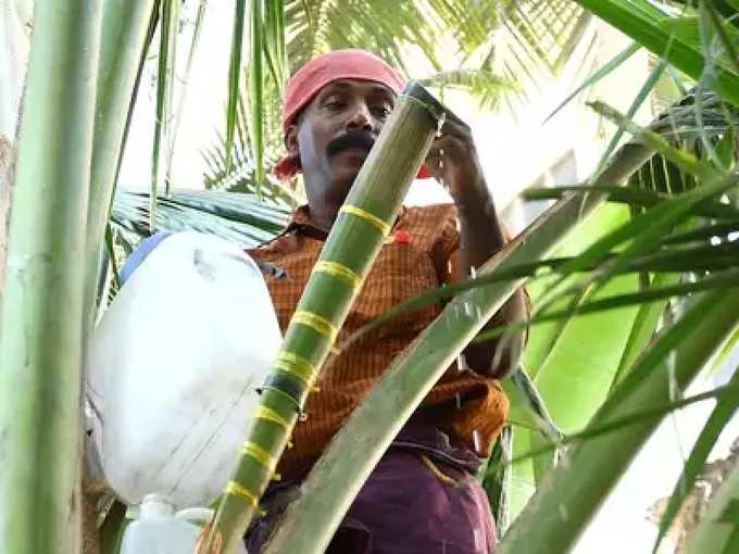 ​​ನೀರಾ, ಹೆಂಡದ ಹಾವಳಿಗೆ ತಡೆಯೇ ಇಲ್ಲ..