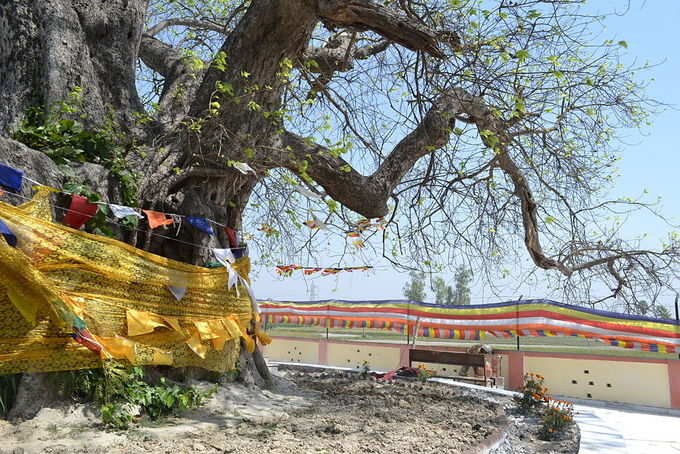 ​ಕೃಷಿಯನ್ನವಲಂಭಿಸಿರುವ ಜನರು