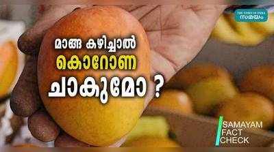 Fact Check: മാങ്ങ കഴിച്ചാൽ കൊറോണ വൈറസ് ചത്തു പോകുമോ ? പ്രചരണത്തിന് പിന്നിലുള്ള സത്യം എന്ത് ?