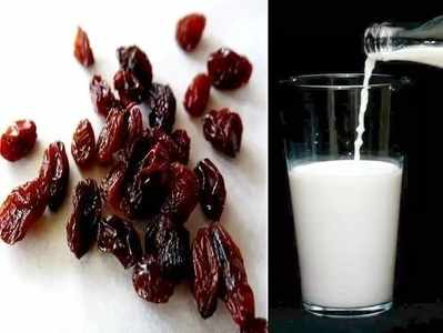 Black Raisins Benefits : काळ्या मनुकासह दूध पिण्याचे फायदे, केसासह त्वचेला मिळतील हे लाभ