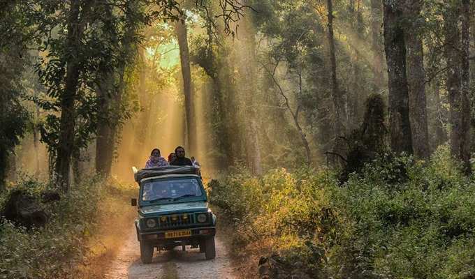 ডুয়ার্সের জঙ্গলের দিনরাত্রি