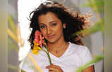 Happy Birthday Trisha Krishnan: राणा के साथ अफेयर, 2004 में एक विवाद की वजह से आईं चर्चा में