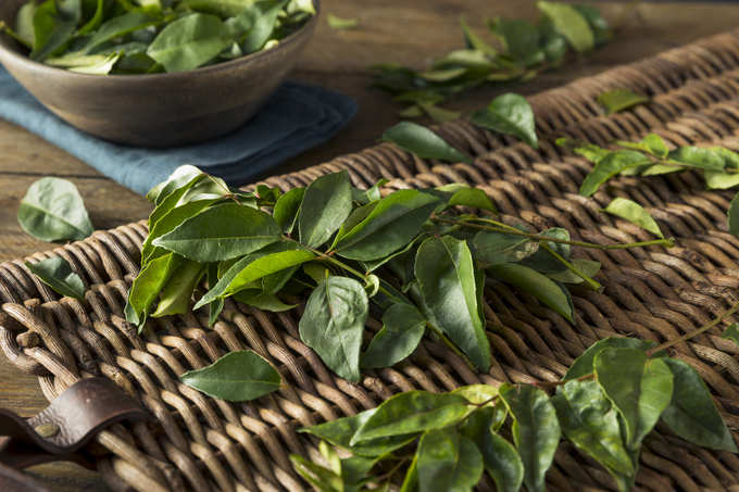 Green Organic Curry Leaves