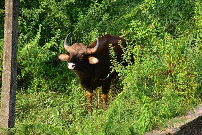 ​ಡಾಕ್ಟರ್‌ಗಳು, ಸಿಬ್ಬಂದಿಗೆ ಬುಲಾವ್‌