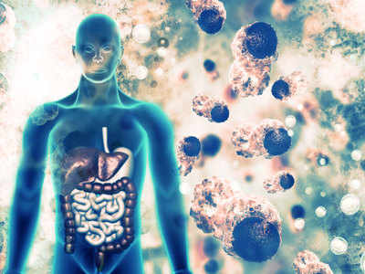 How Immunity Work:  वायरस या बैक्टीरिया को शरीर में फैलने से इस तरह रोकती हैं कोशिकाएं