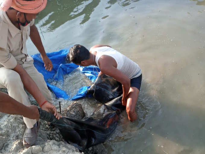 कई इलाकों में अवैध शराब के बारे में मिली जानकारी