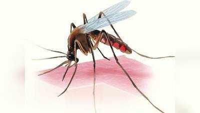 मलेरिया की सूचना न देने पर लग सकता है जुर्माना