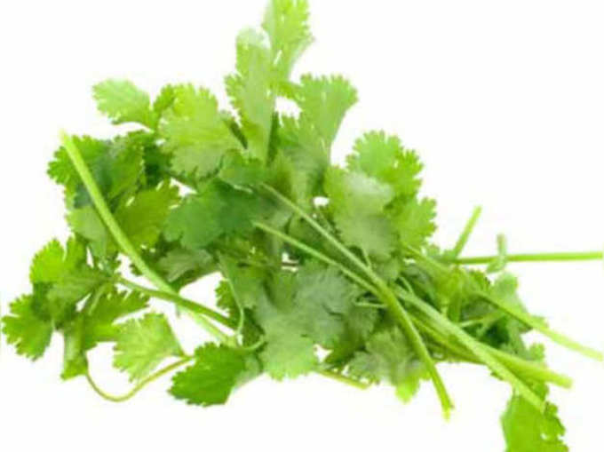 coriander-leaves