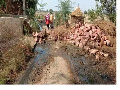 Covid-19 : मंत्री सुभाष गर्ग के कहने पर ग्रामीणों ने भरतपुर में निकाला पलायन को रोकने का नायाब तरीका