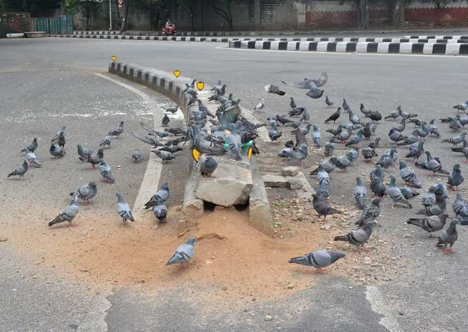 ಭೂಮಿಯೆಲ್ಲಾ ನಮ್ಮದೇ..