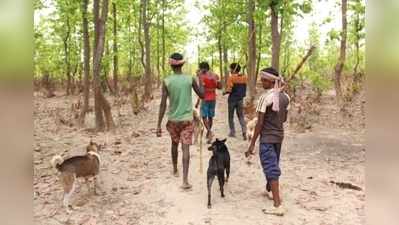 বুদ্ধ পূর্ণিমায় ঝরল না রক্ত, অযোধ্যা এবার শিকারহীন