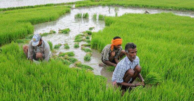 ​സ്ഥലം ഉള്ള എല്ലാവർക്കും പണം കിട്ടുമോ?