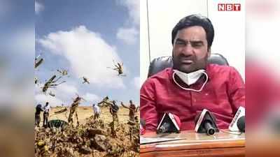 Locust Attack: नागौर सांसद हनुमान बेनीवाल ने टिड्‌डी हमले का Video ट्वीट कर बताई हकीकत