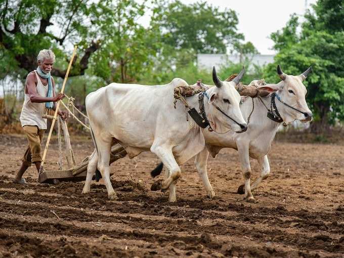 ​ದೇಶ ಸೇವೆಗೆ ಮೊದಲು ರೈತ, ನಂತರ ಇಂಡಸ್ಟ್ರಿ