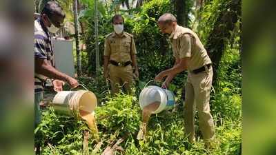 മട്ടന്നൂരും അഴീക്കോടും എക്സൈസ് റെയ്ഡ്: വ്യാജവാറ്റ് കേന്ദ്രങ്ങൾ നശിപ്പിച്ചു