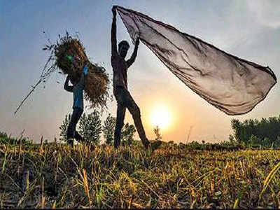 कर्नाटक लैंड रिफॉर्म ऐक्ट में संशोधन, अब किसानों से सीधे जमीन खरीद सकेंगे कारोबारी