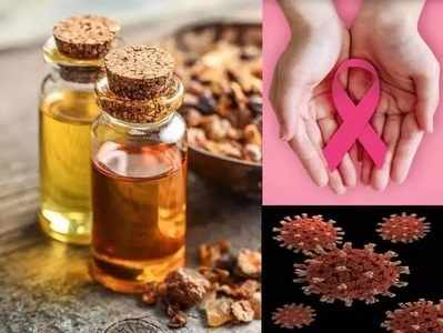 <strong>Myrrh Oil Benefits:</strong><strong> </strong>कॅन्सर व्यतिरिक्त या ६ आजारांवर गुणकारी ठरते हिरड्याचे तेल!