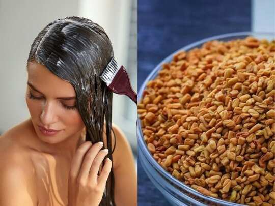 fenugreek hair loss, Hair Fall Remedy: नहाने से 1 घंटे पहले लगाएं मेथी Hair Pack, बालों का झड़ना और गंजापन होगा दूर - homemade fenugreek powder olive oil and curd hair pack fenugreek hair loss, Hair Fall Remedy: नहाने से 1 घंटे पहले लगाएं मेथी Hair Pack, बालों का झड़ना और गंजापन होगा दूर - homemade fenugreek powder olive oil and curd hair pack