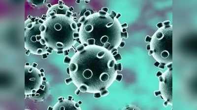 Coronavirus Update: करोनाला हरवायचंय? त्यासाठीव्हिटॅमिन डी एवढे आहे महत्त्वाचे