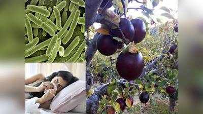 Black Apple Health Benefits : क्या आपने खाए हैं काले सेब, जानिए सेहत को कैसे पहुंचाता हैं लाभ