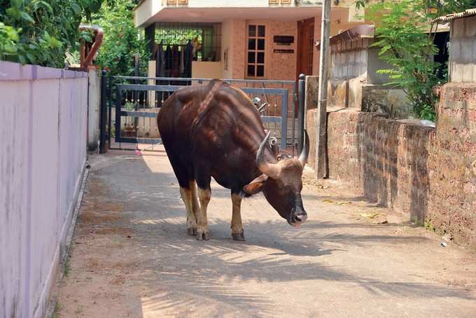 ​ಗೇಟ್‌ ತೆಗೀರಿ...