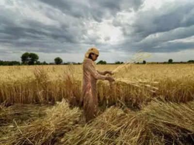 लॉकडाउन की वजह से 50 फीसदी ग्रामीण भारत नहीं खा रहा भरपेट खाना