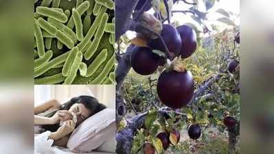 Health Benefits Of Black Apple : काळ्या सफरचंदाचे करा सेवन, मिळेल निरोगी आरोग्य