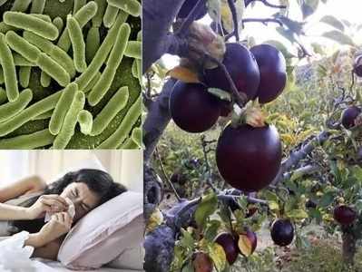 Health Benefits Of Black Apple : काळ्या सफरचंदाचे करा सेवन, मिळेल निरोगी आरोग्य