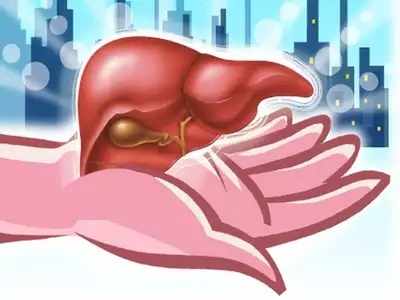 <em></em>How To Get Strong Liver : हे पदार्थ खा आणि यकृत बनवा अधिक मजबूत!