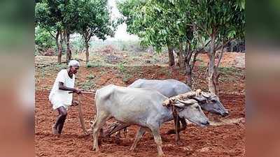 ವೃತ್ತಿ ಗೌರವ ತಿಳಿಸಿದ ಕೊರೊನಾ ಲಾಕ್‌ಡೌನ್‌: ಹಣದ ಹಿಂದೆ ಓಡುತ್ತಿದ್ದವರಿಗೆ ಅನ್ನ, ಆರೋಗ್ಯ, ವೃತ್ತಿಗಳ ಅರಿವು