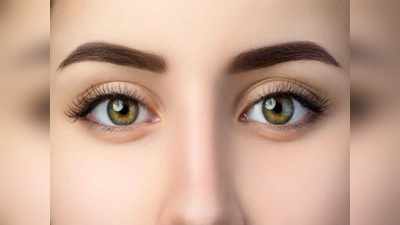 Eyebrow Care Tips: भुवयांच्या पांढऱ्या केसांमुळे आहात हैराण? करा हे सोपे घरगुती उपाय