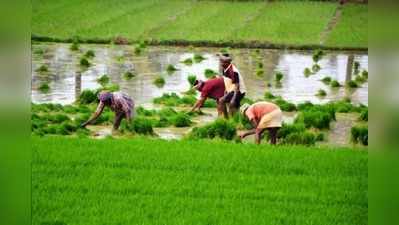 రైతులకు కేంద్రం శుభవార్త... కిసాన్ కార్డు దారులకు రుణాలు