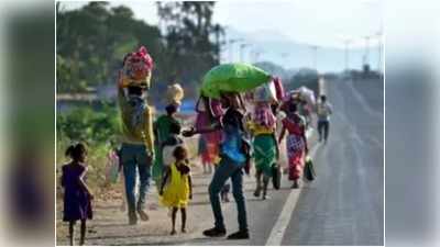 കുടിയേറ്റക്കാരുടെ സുരക്ഷയ്ക്കായി വെഹിക്കിൾ ഫ്രീ പാത സ്ഥാപിക്കണം;  റോഡ് സുരക്ഷാ വിദഗ്ധർ