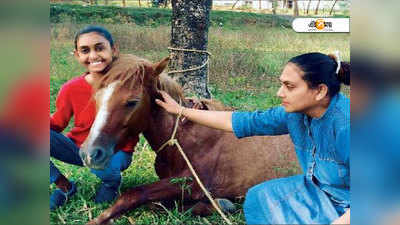 ‘সেবা’য় সুস্থ মরণাপন্ন দুলদুল