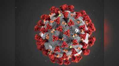 क्‍या शव से फैल सकता है कोरोना वायरस? जानिए सच