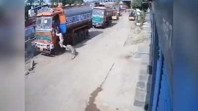 हैदराबाद: तेंदुए ने किया इंसानों पर हमला, कुत्तों का झुंड देख लौटा, वीडियो वायरल
